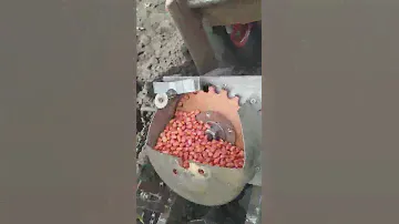Кукурузная сеялка для мотоблока
